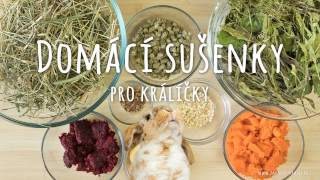 Domácí sušenky pro králíčky  recept [upl. by Annuahs]