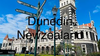 Dunedin New zealand November 2023 [upl. by Bailey]