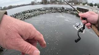 Fishing the Nanticoke River on the Eastern Shore [upl. by Ebert]