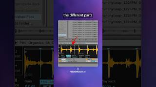 Ableton SLICE MODE for ORGANIC sounds [upl. by Eibbil992]