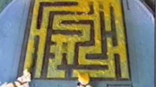 Slime mold solving a maze in the lab [upl. by Llerral]