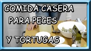 como hacer comida casera para peces y tortugas [upl. by Adnovahs701]