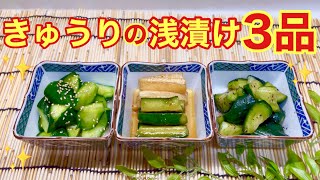 きゅうりの浅漬け3品の作り方♪きゅうり大量消費にも！切って漬けるだけで簡単！ [upl. by Omer]