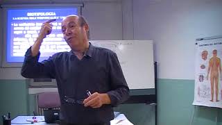 Lezione di Biotipologia Prof Corrado Bornoroni aa 201617 [upl. by Ynohta455]