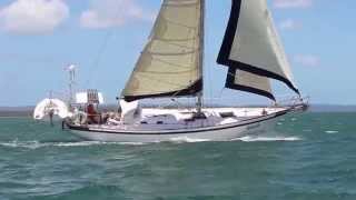 Tradewinds 35 Cutter sailing on Moreton Bay [upl. by Carie]