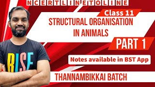 Structural organisation in Animals Class 11  Part 1  Thannambikkai Batch  NCERT line to line [upl. by Soelch]