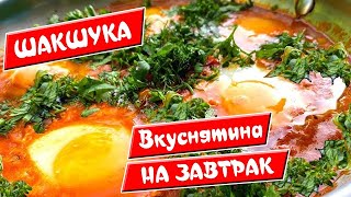 Вкуснятина НА ЗАВТРАК ❤️ за считанные минуты 🍅 ШАКШУКА [upl. by Jae]