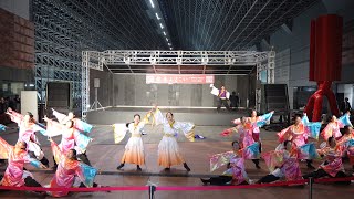 【佛教大学よさこいサークル紫踊屋】龍馬よさこい2024 1110日）JR京都駅 室町小路広場会場 [upl. by Reiss]