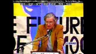 Noam Chomsky Critique of Madisonian Democracy [upl. by Judd861]