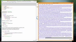Python read prozess memory [upl. by Herod]