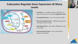 BIOL201 Ch161  Gene Regulation Overview [upl. by Lisandra]