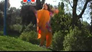 pashto new songs 1 nadia gul mast dance [upl. by Aldredge635]