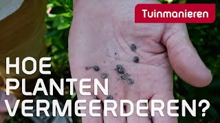 Gratis planten Vermeerderen en zaaien in de herfst  Tuinmanieren [upl. by Haig]