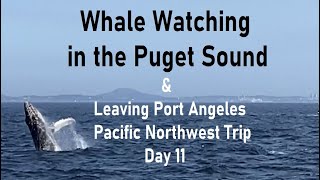 Whale Watch Tour Puget Sound amp Leaving Port Angeles Day 11 Pacific Northwest Trip Washington State [upl. by Martell]