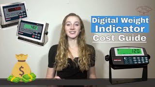 Digital Weight Indicators Cost Guide for Weighing Scales [upl. by Houghton195]