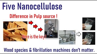 Five nanocellulose productions [upl. by Llednor]