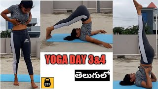 Learn YOGA Day 3 amp4 for Beginners In Telugu Get Fit Body stress relieLearn step by step [upl. by Sophronia849]