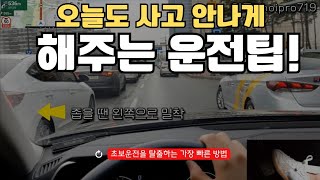 초보운전탈출♦️시내주행 돌발상황 대처법내비로 길 찾을때 경로이탈 하는 가장 큰 이유 [upl. by Soulier317]