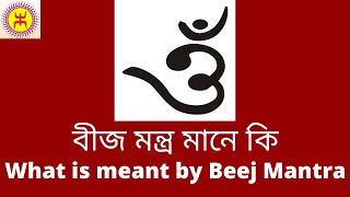 বীজ মন্ত্র মানে কি  What is meant by Beej Mantra veg recipes healthy bhi tasty bhi [upl. by Oriane]