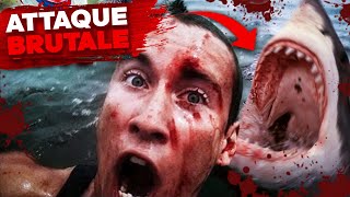 Lattaque de requin la plus brutale et choquante jamais vue en direct [upl. by Assetnoc]