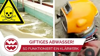 Wie wird Abwasser wieder zu Trinkwasser So funktioniert ein Klärwerk  Welt der Wunder [upl. by Ycram]