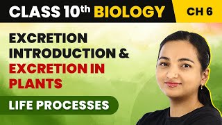 Class 10 Biology Ch 6  Introduction to Excretion and Excretion in Plants  Life Processes [upl. by Ardnaxila10]