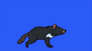 Tasmanian devil running green screenanimation tasmanian devil on green screen [upl. by Germain]