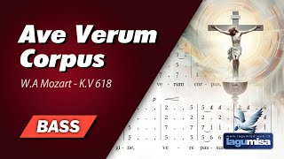 Ave Verum Corpus WA Mozart  BASS Vocal Guide [upl. by Ledah]