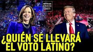 Harris y Trump compiten por los votos latinos en la recta final  Noticias Epoch Times [upl. by Nylissej651]