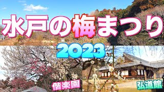 【水戸の梅まつり2023】【偕楽園～弘道館】／【茨城県 水戸市】／４Ｋ／Mito plum festival／Kairakuen Kodokan [upl. by Tamah]