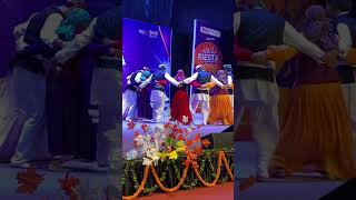 Himachali Dance pahadidance [upl. by Lehcsreh]