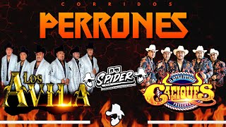 Los Avila Ft Los Caciques De san luis Corridos Perrones 2021 [upl. by Gretta929]