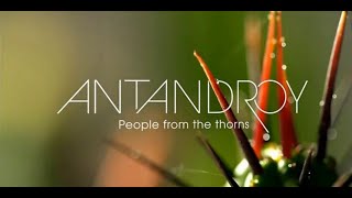 ANTANDROY by FONE [upl. by Rockafellow72]