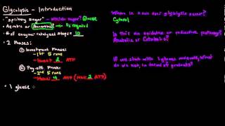 Glycolysis Part 1 of 3  Introduction [upl. by Stanislas]