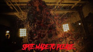 Spite made to please lyrics [upl. by Lotty]