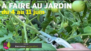 QUE FAIRE DANS VOTRE JARDIN DU 4 AU 11 JUIN  L’AGENDA PRATIQUE DU JARDINIER AVEC PATRICK ET ROLAND [upl. by Ralyat]