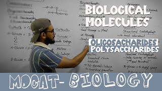 Carbohydrate part 2  Oligosaccharides and Polysaccharides  MDCAT Biology Lecture [upl. by Liggitt137]