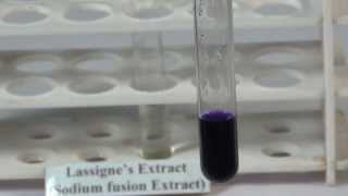 Detection of Sulphur in an Organic Compound  MeitY OLabs [upl. by Odraude]