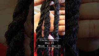 Chebe journey for hair growth Week 4 Day 25 Let’s grow longhair with natural ingredients curly [upl. by Eniahpets]