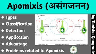 Apomixis  Facultative apomixis  Obligative apomixis  Recurrent Apomixis  by Tanisha Gangrade [upl. by Cosimo797]