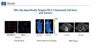 NIRIIMRI Nanoprobe for TNBC – Video abstract ID 417944 [upl. by Llenrag952]