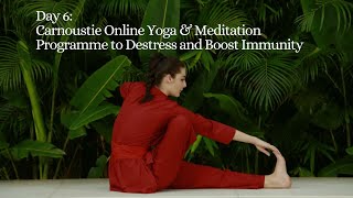 DAY 6  Carnoustie Online Yoga amp Meditation Programme to Destress and Boost Immunity [upl. by Evie]