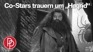 „Hagrid“ gestorben SO trauern die „Harry Potter“Stars um Robbie Coltrane • PROMIPOOL [upl. by Gowon]