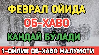 УЗБЕКИСТОНДА ФЕВРАЛ ОЙИДА ОБХАВО КАНДАЙ БУ́ЛАДИ  FEVRAL OYIDA OBHAVO QANDAY BOLADI [upl. by Araec403]