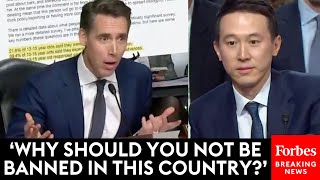 FIERY Josh Hawley Piteously Grills TikToks CEO At Senate Hearing On Online Child Safety [upl. by Akkina]