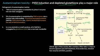 Acetaminophen or Tylenol Toxicity  Lect 19  Pharmacology [upl. by Llevrac]