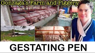 Simpleng Idea Paano gumawa ng Paipitan ng Inahing Baboy  Gestating Pen GonzagasfarmandPigerry [upl. by Sineray793]