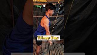 Day 8 of Bulk  Tricep Day fitnessytshortsshortfeedtrendingshortshomegymathletics [upl. by Lacey]