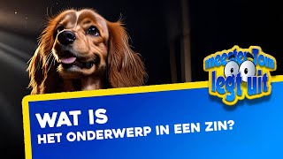 Wat is het onderwerp in een zin [upl. by Clevey677]