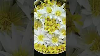 Flower decorationshortvideo [upl. by Sherwood297]